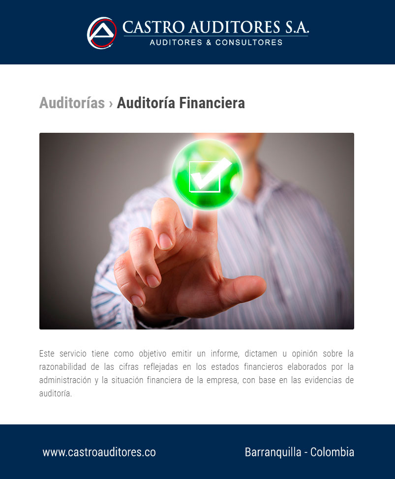 Auditoría Financiera › Castro Auditores S A