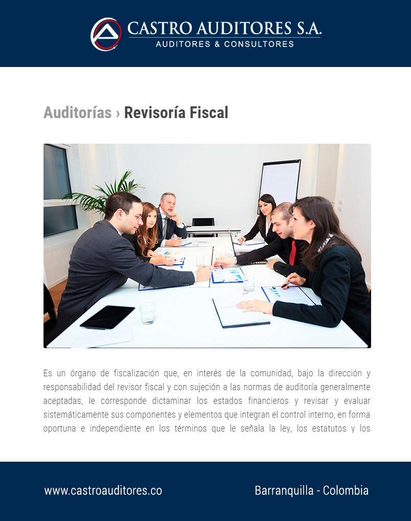 Revisoría Fiscal Castro Auditores S A